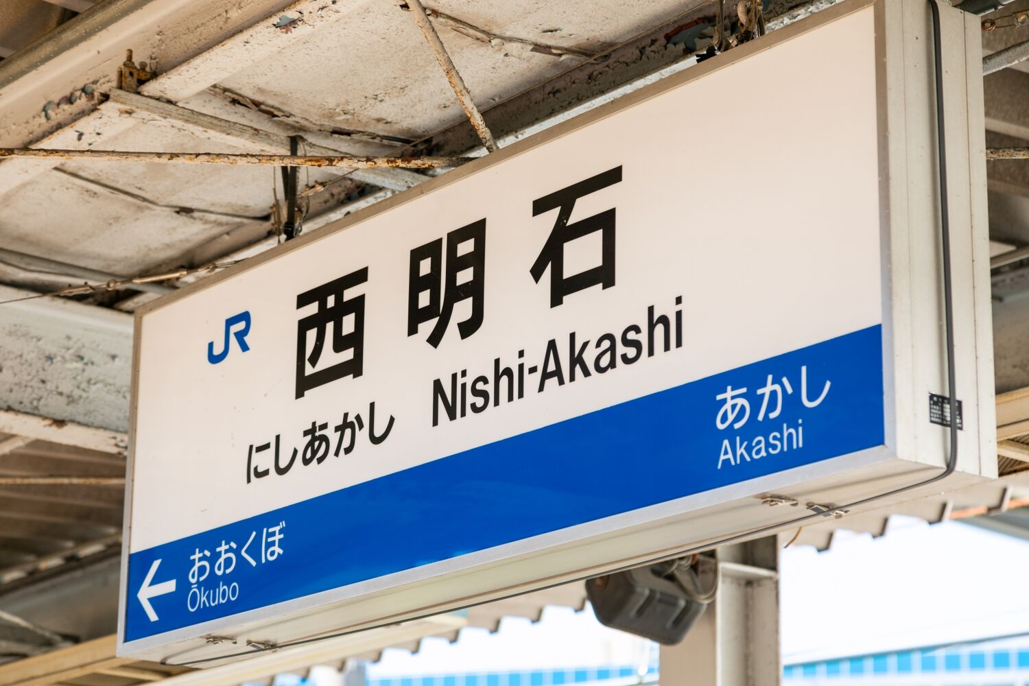 画像4263